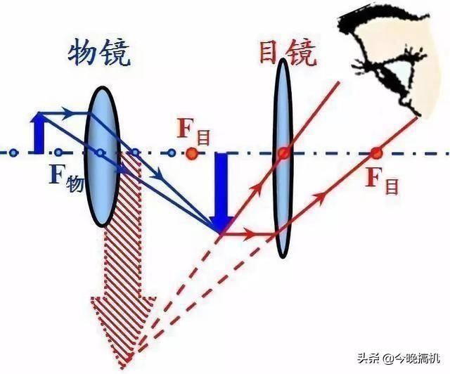 辣条到底是不是垃圾食品显微镜下放大120倍，终于敢大胆地吃了