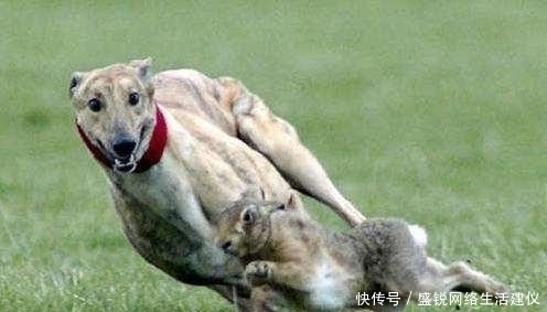 俗语|俗语“钓鱼穷三年,玩鸟毁一生”,其实下句才是精华,道尽古人的处世智慧