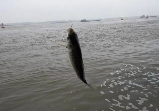 失手绳|钓鱼挂底不用愁,用好这些方法,照样钓大鱼!