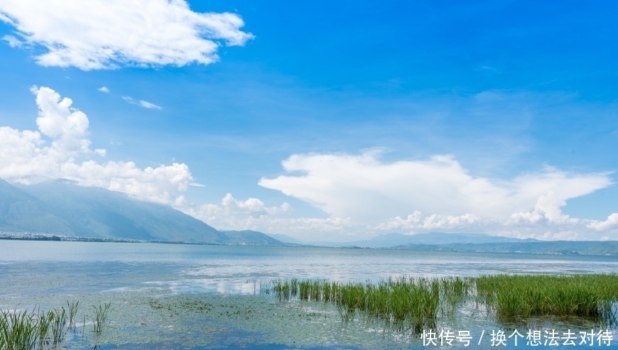 中年|洱海边最美的免费公园,非这座公园莫属