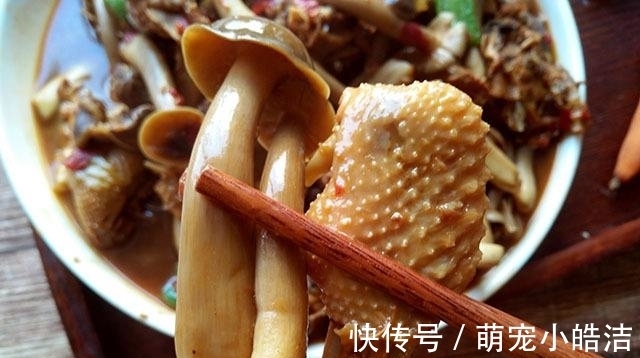 鸡肉|秋天，这肉要多吃，1斤猪肉能买它3斤，营养极高，炖着吃最香