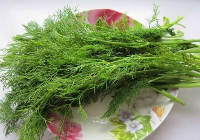 湿气就怕这个菜,三天两头吃,滋补又美味,湿气消失了,想瘦并不难