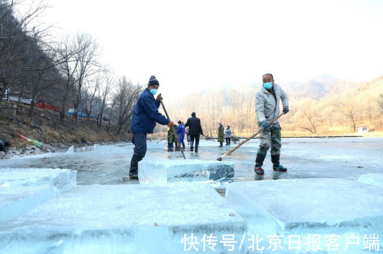 龙庆峡景区|龙庆峡取冰喽！冰灯冰雪季明年1月中旬开幕