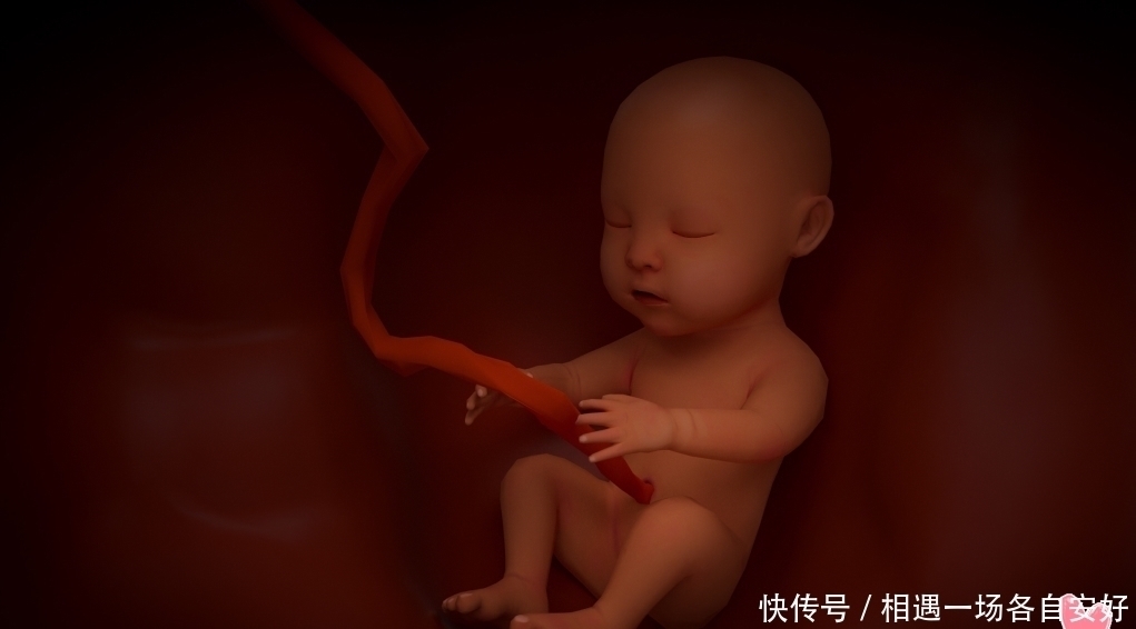 肚子|为什么准妈妈的肚子会时大时小,有时还“左右不对称”?原因有五