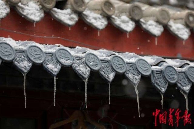 冒雪|北京迎来2022年第一场雪