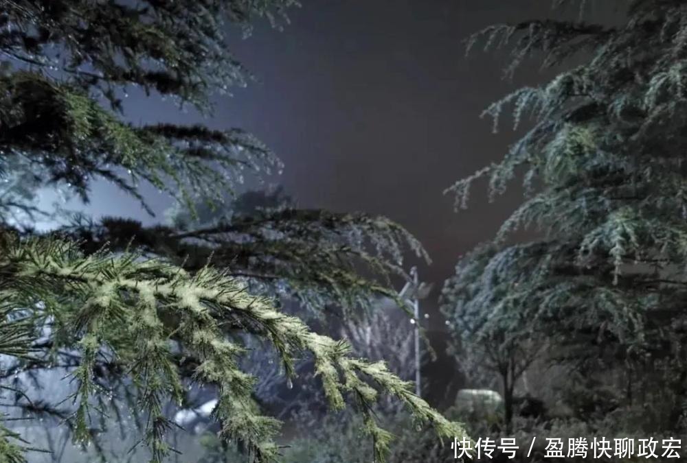 实在|贵州旅游｜贵州下雪啦！这些雪景图实在太美了！你那边下雪没？