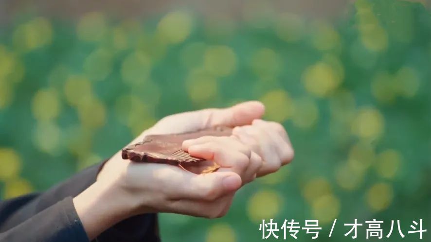 佳什#从前的书信,字字皆是韵,句句都有味