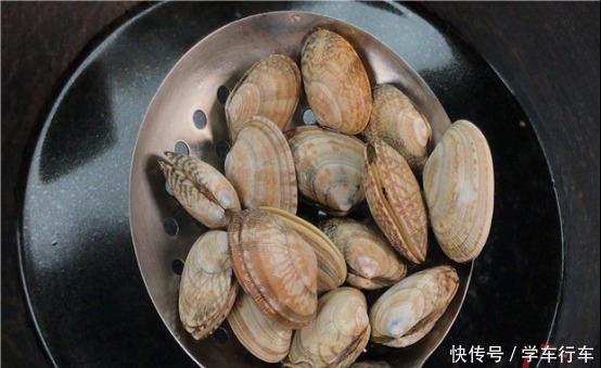 今天才知道,洗花蛤不能只加盐,老渔民用它泡一泡,花蛤狂吐沙!