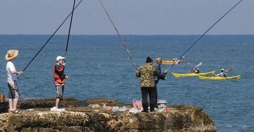 有害物质|再次劝告:4类鱼尽量少吃,营养少还伤身,很多人还在天天吃