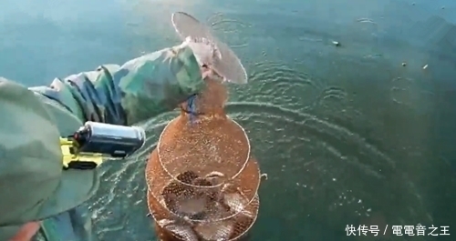 野钓大板鲫,每一条都大,鱼获让人眼红,四五个小时就得几十条鱼