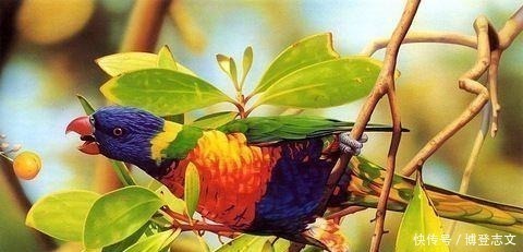 吾富有钱时#史上最鄙俗的一首诗,全诗明白如话,却将人性的丑陋写到极!