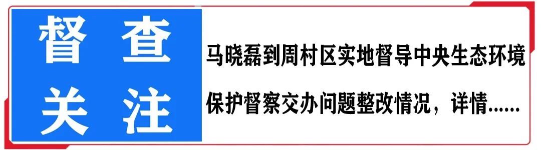 成就|【督查关注】播撒爱心，成就未来！淄博实验中学志成教育发展基金会成立