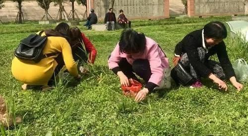 全国|人间真实!全国多人中毒,野菜吃不对,亲人两行泪