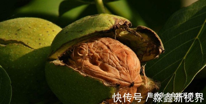 大姨妈|女人“大姨妈”走后,不妨多吃这“4物”,刮油降脂,体重悄悄降