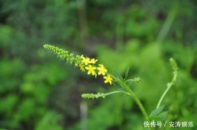 民间|民间老中医偏方十大秘方值得收藏,以备不时之需