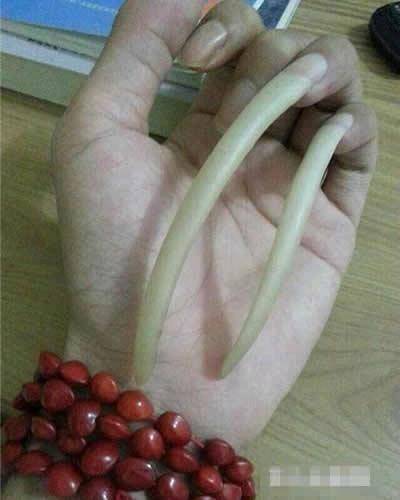 |搞笑图片幽默段子笑话哥们你的指甲该剪一剪了,养了多久啊