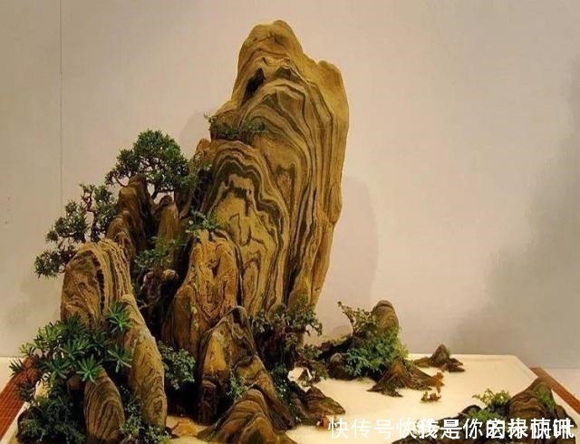 植株|大爷用石头、盘子来养花,布局造景,这就是山水盆景的魅力!