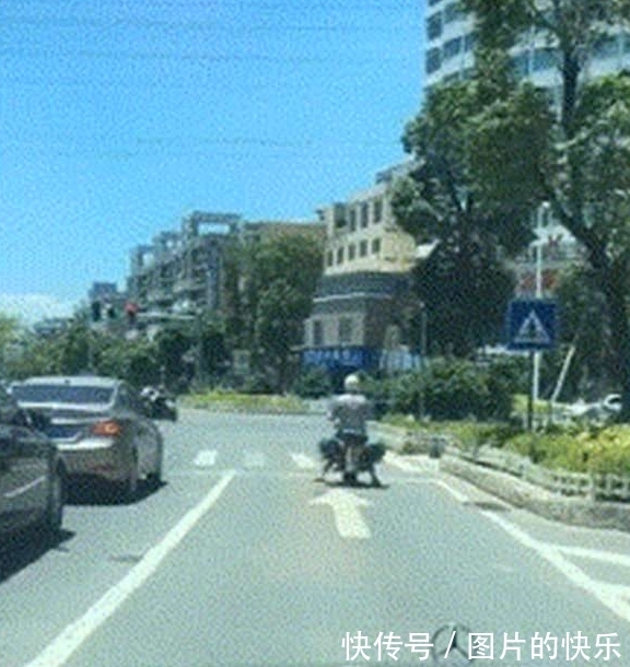 |搞笑GIF:外卖小哥,你这是要改行做理发师吗?