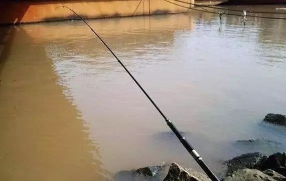 冬天钓鱼想找到鲫鱼一点也不难,按我的方法做,几分钟就能搞定!