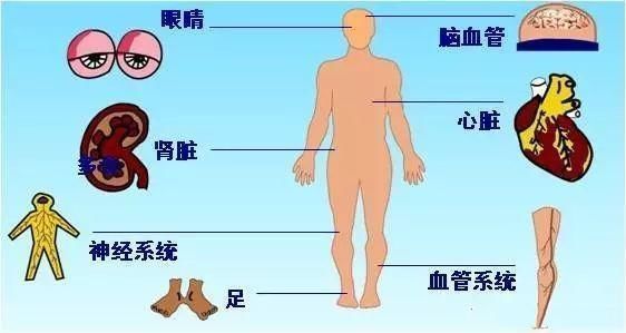 gi|糖尿病朋友,饮食注意这4点,保证血糖更平稳!