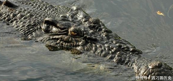 梁山的三朝元老,他建立的情报站,立功无数,是林冲李逵的大恩人