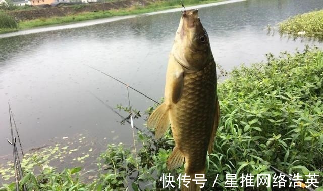 入口性|蚯蚓挂钩的6个小技巧,学会后渔获多多,一条接着一条