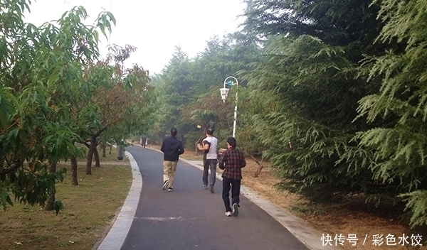 中老年人|50岁后,膝盖走下坡路,骨科专家:4个给关节上刑的行为,少做点