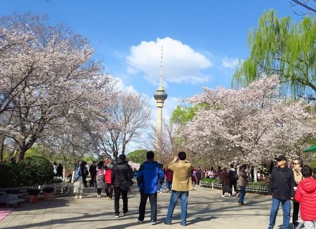 北京的这座绝美公园，风景不输北海公园，门票2元游客络绎不绝