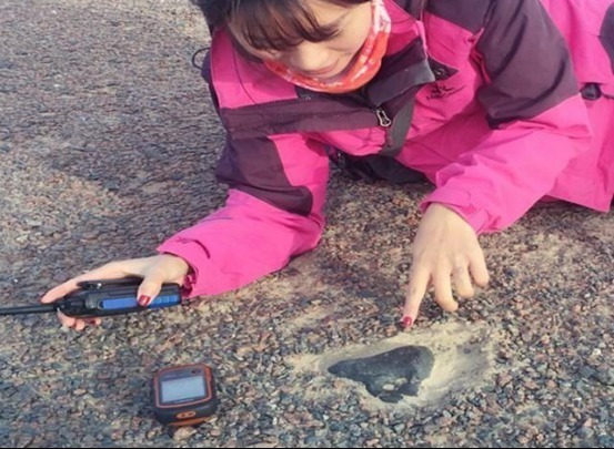 国家曾五百万一斤收这石头,有姑娘捡了四百公斤,后来怎么样了