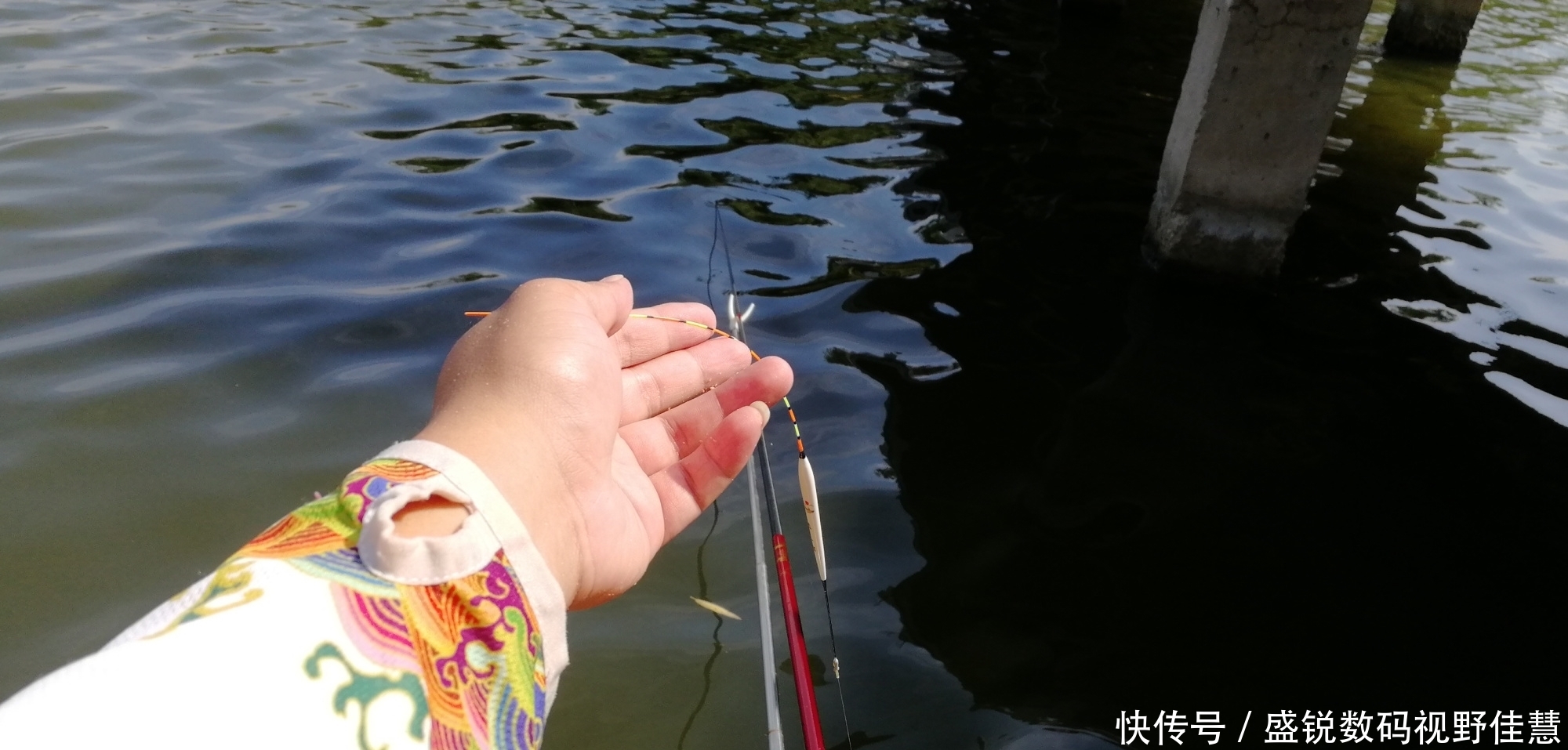 新手钓鱼一定要养成的好习惯,对你的渔获大有帮助!