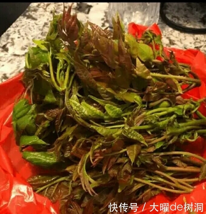 凤姐现在在美国的状况如何？网友：炫富加小奢侈？
