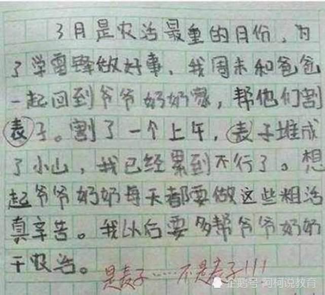 罚站|小学生零分作文老师看完无奈，家长没脸见人，我真没有教过