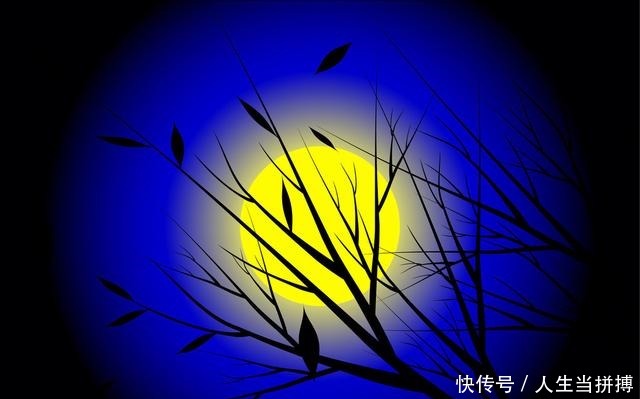 这几首写失眠的诗词，每一首都成就了一个不朽的失眠