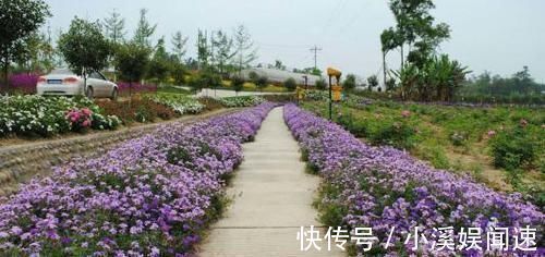 后半生|哪个日子出生的女人,难逃富贵,漂亮又有钱,后半生注定享福