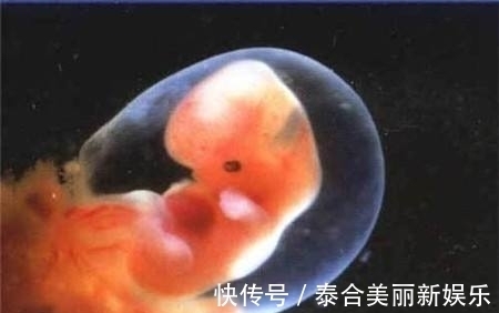 二手烟|孕妇这三个习惯,原来会影响胎儿智力发育,别不当回事