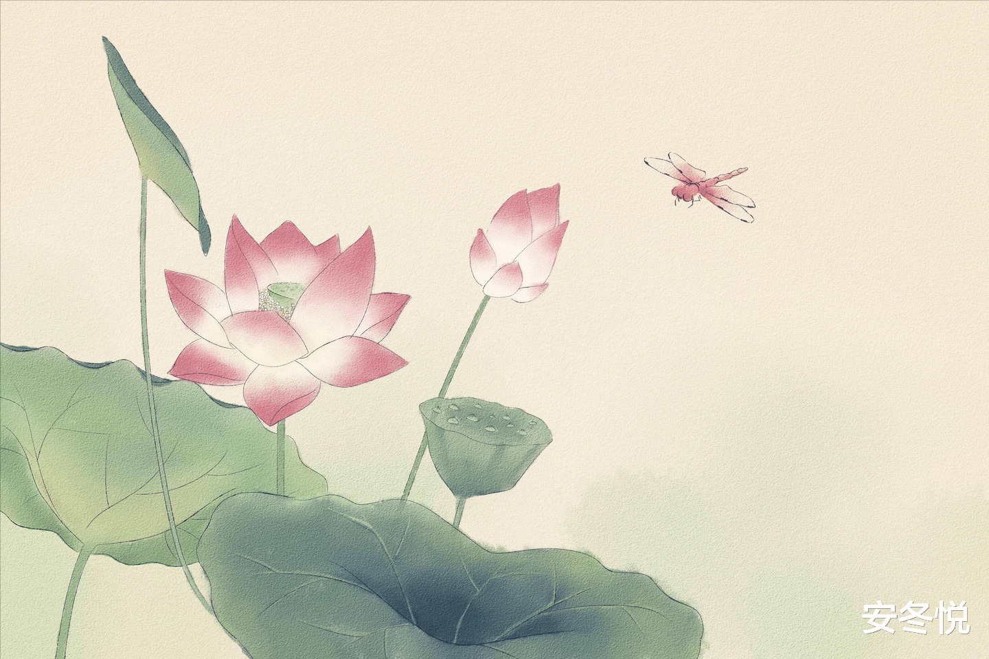 诋毁!真正通透的人,早已看淡这“三样”