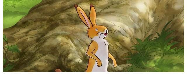 小兔子$一本励志的绘本书籍,读懂真实的爱意满满——推荐销量1800万