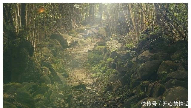 最厉害的3个上升星座女,性格极为刚毅,做事