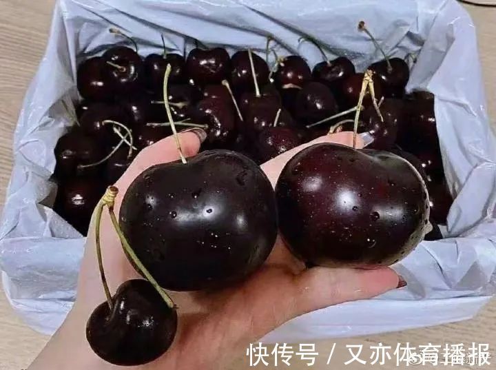 车轮子|搞笑:网购需谨慎,尺寸别看错,这尺寸是您想要的吗