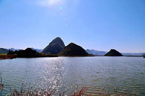 普者黑天鹅湖，近距离地接触天鹅，却发现这里的天鹅竟然不会飞