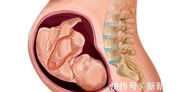 母亲|产道这么窄,胎儿怎么出来的看完后我不禁感到难过做母亲真不容易