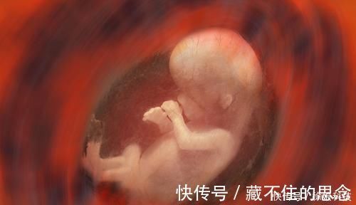 记忆|胎儿有宫内记忆？爸爸：4岁儿子的话让我流泪，早知应更重视胎教