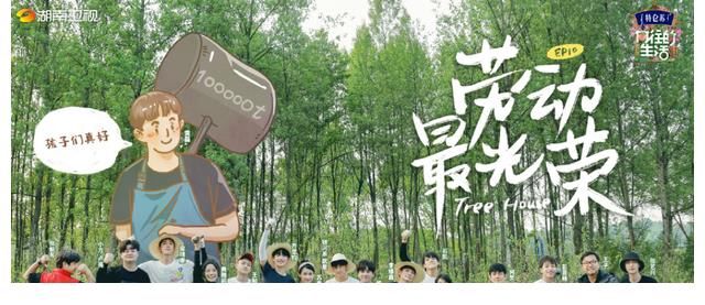 刘胜瑛|《向往5》即将收官为何大家还在“制作木屋”?背后原因很暖心