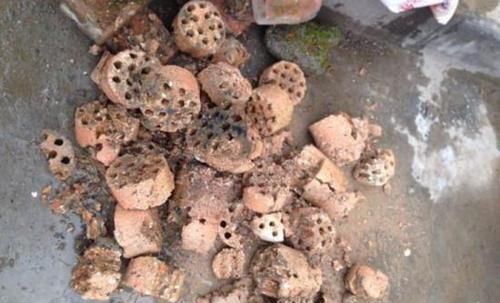 4种“垃圾”,垫在花盆下,烂根黄叶再也没了,啥花都越养越旺