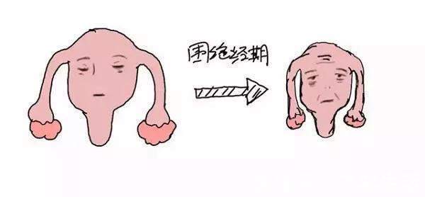 衰老|女人明明绝经了，却很年轻不“显老”？4个习惯是“法宝”