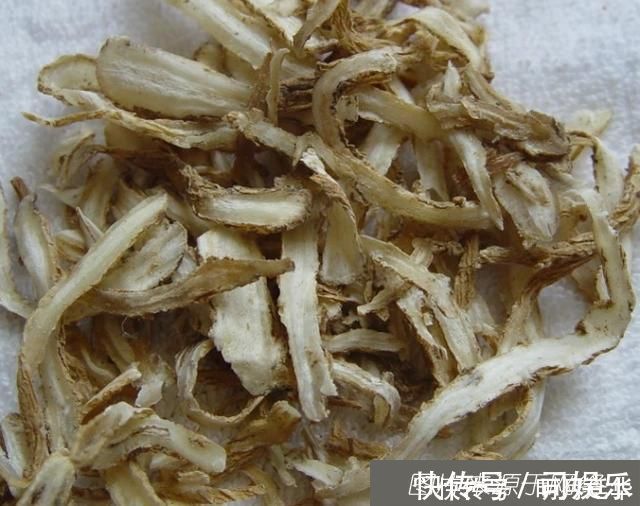 雌激素|女人不想老太快,不妨多吃4种“零嘴”,补充雌激素,胜似护肤品