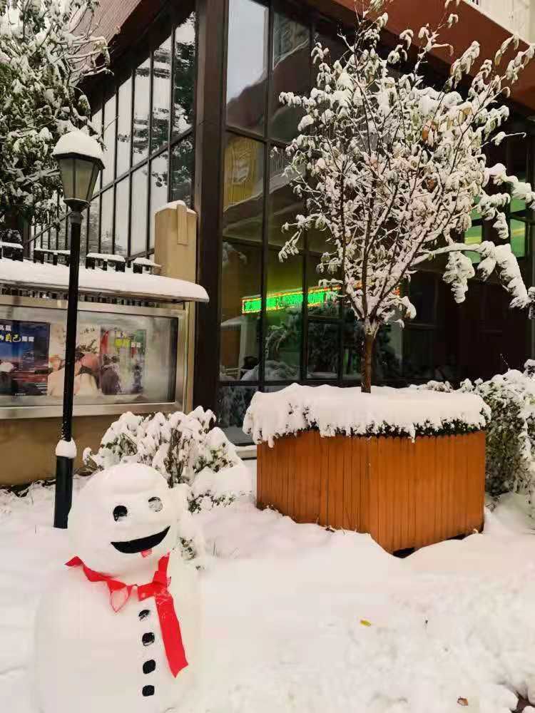 天桥区|初雪如约至，天桥区凡尔赛幼儿园“破冰行动”来保障