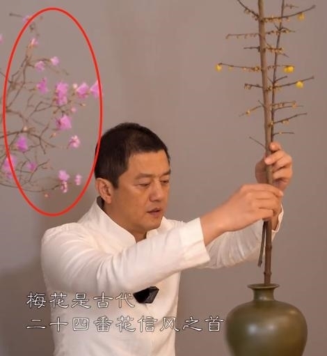 |李亚鹏:拍小寒节气段子,室内摆放的一瓶“干枝杜鹃”成最大亮点