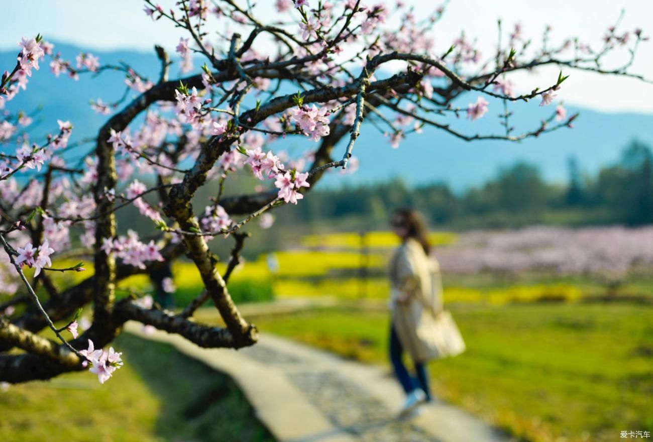 在安徽黟县旅行，西递、屏山、桃花源这三个地方，很值得看一看