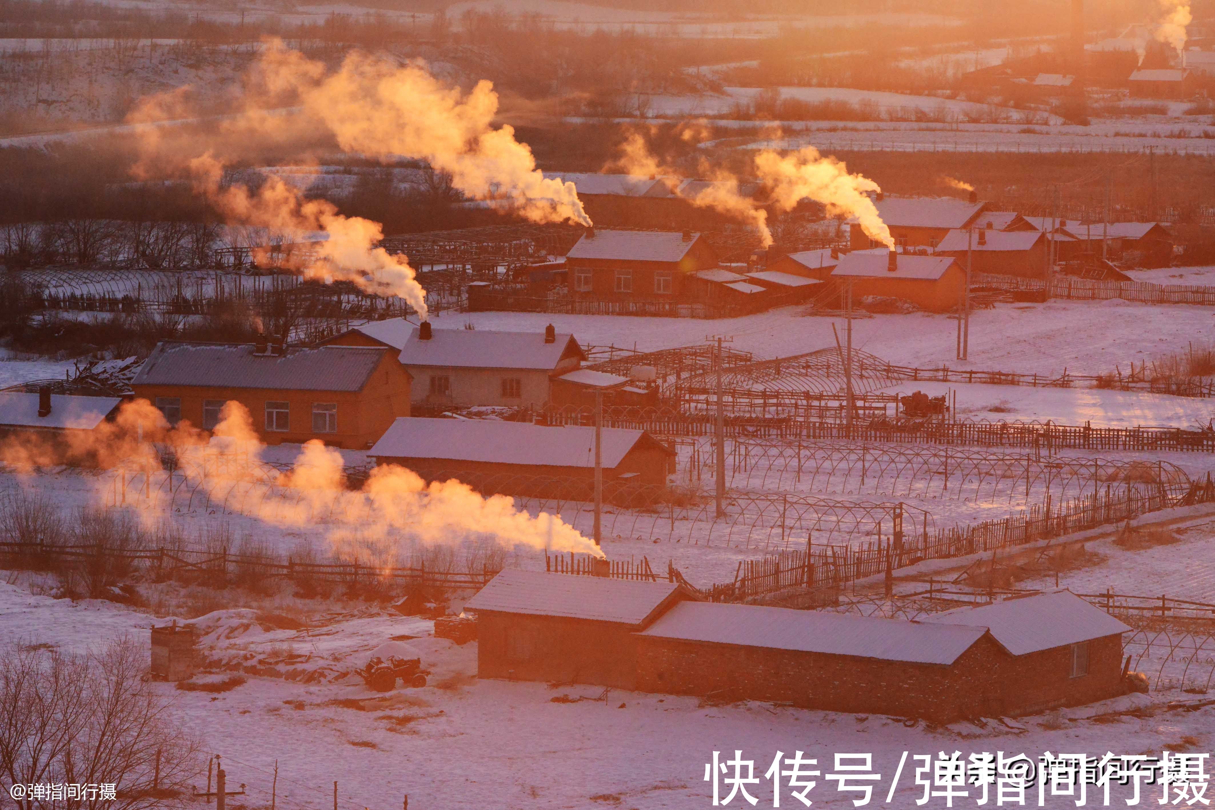 驯鹿|大兴安岭深处的少数民族，全国仅9000余人，以前被称为“森林人”